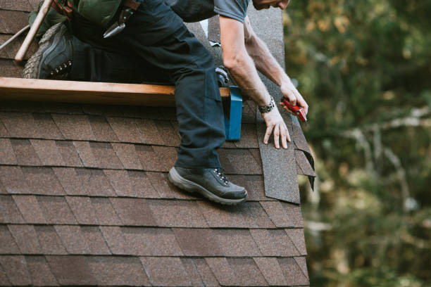 Best Roof Maintenance Services  in Rocky Mount, VA